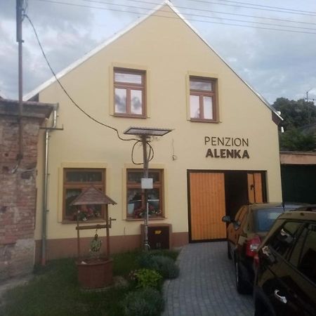 Penzion Alenka Valtice Luaran gambar