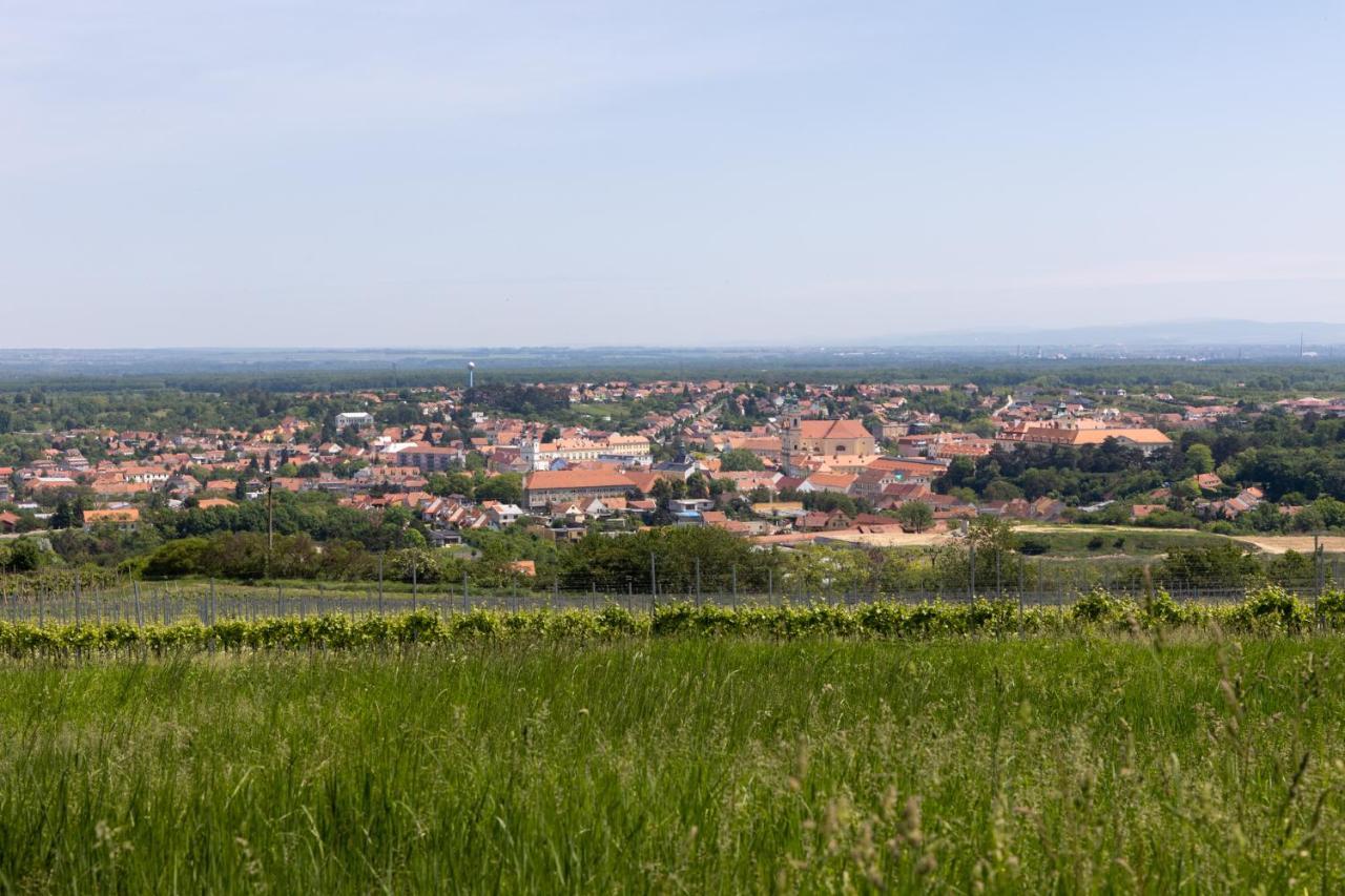 Penzion Alenka Valtice Luaran gambar